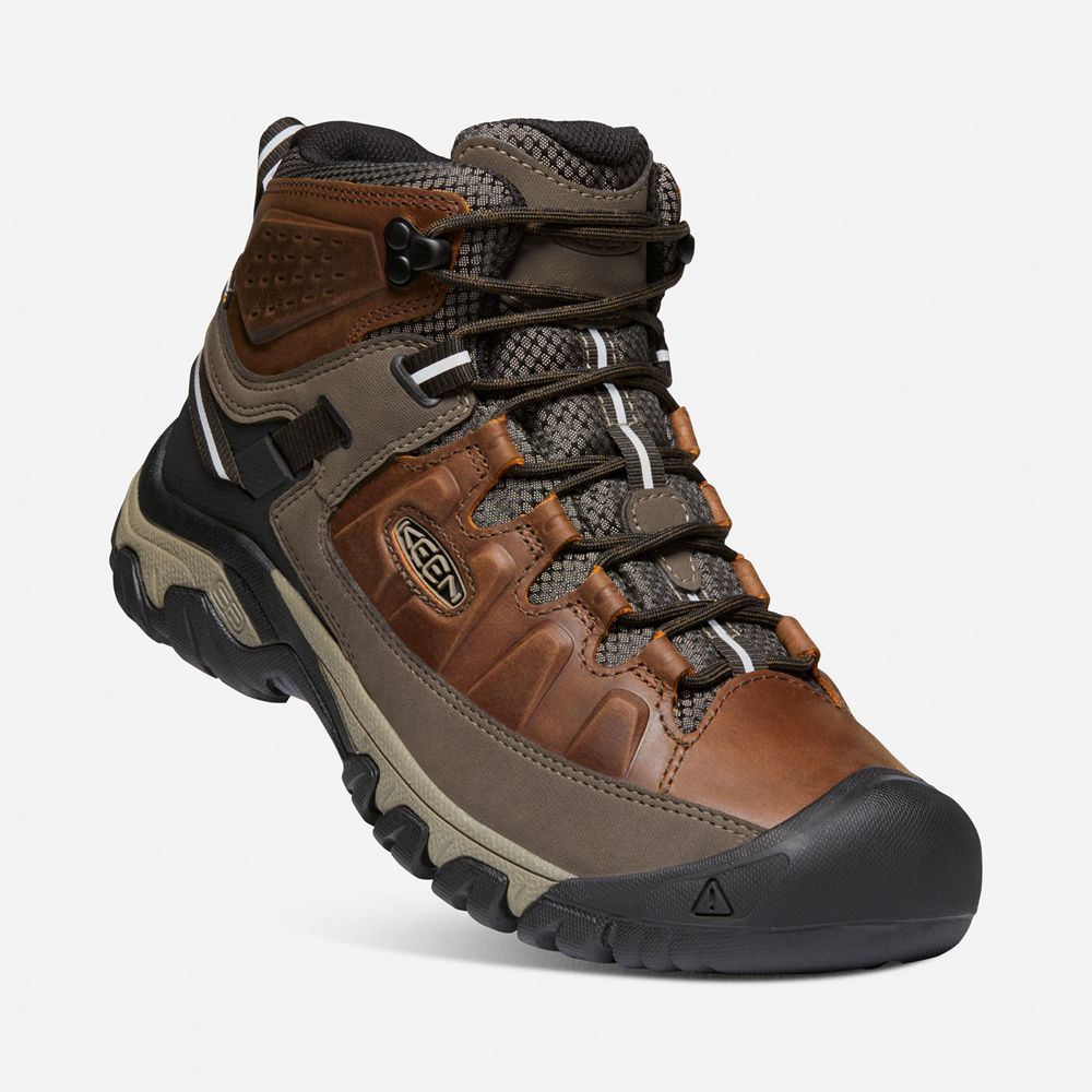 Keen Laarzen Heren Bruin - Targhee Iii Waterproof Mid - 30718-NTEB